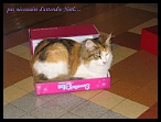0092 8 juillet 2006